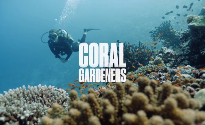 Coral Gardeners